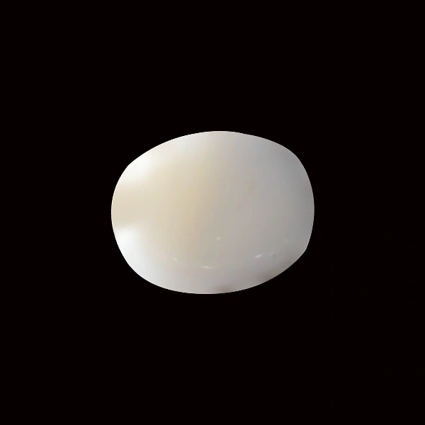 White Coral - 5.53 carats